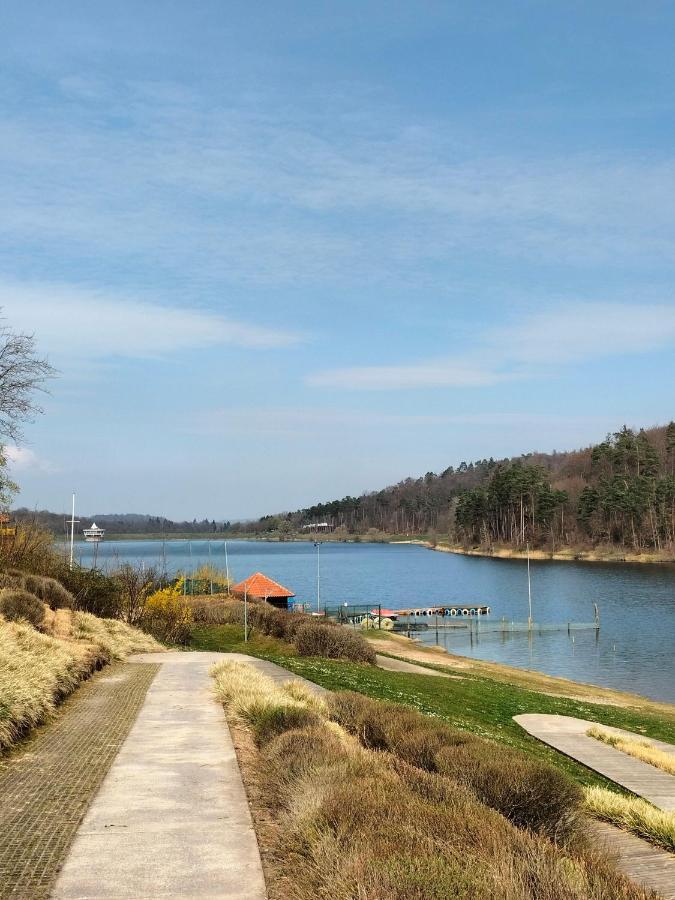 Neues-Ferienhaus-Am-Schoenen-Ferienpark-Twistesee-Naehe-Bad-Arolsen Abádszalók ภายนอก รูปภาพ